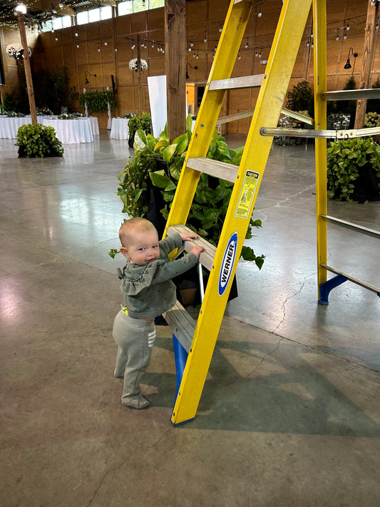 A Cinderella Moment - The Garden Corner