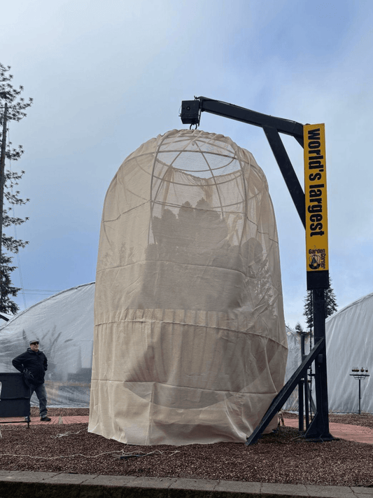 World’s Largest Hanging Basket Spring Reveal - The Garden Corner