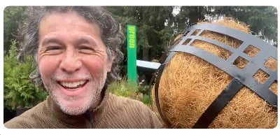 A Productive Hanging Basket! - The Garden Corner