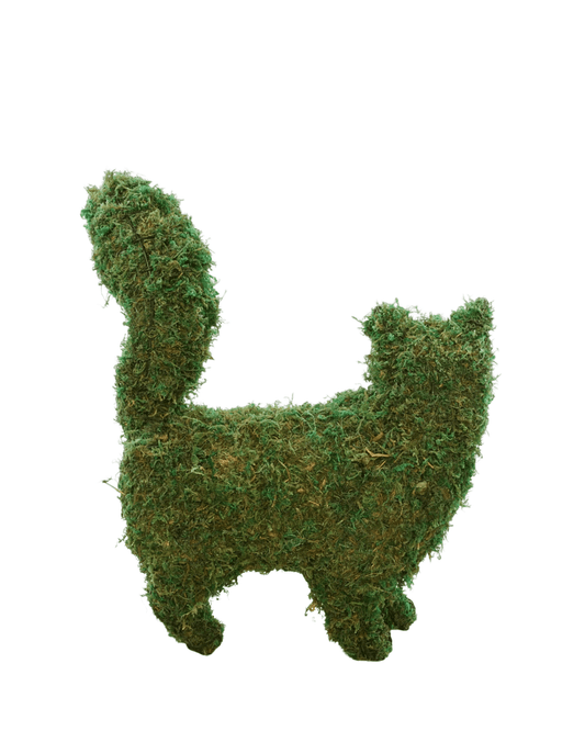 Mossed Cat - The Garden Corner