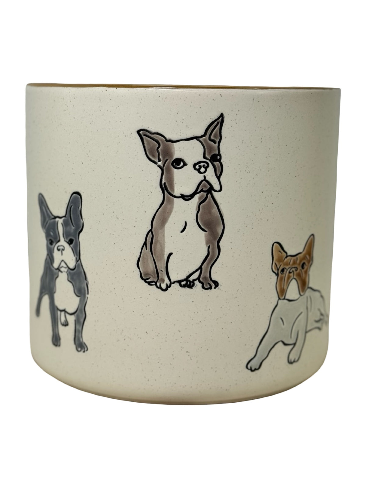 Boston Terrier Planter - Pottery