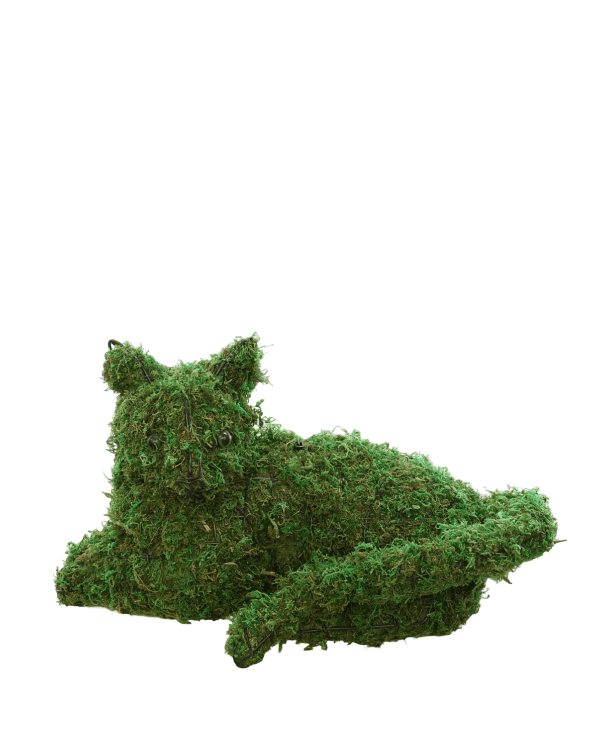 Mossed Cat - Outdoor Living