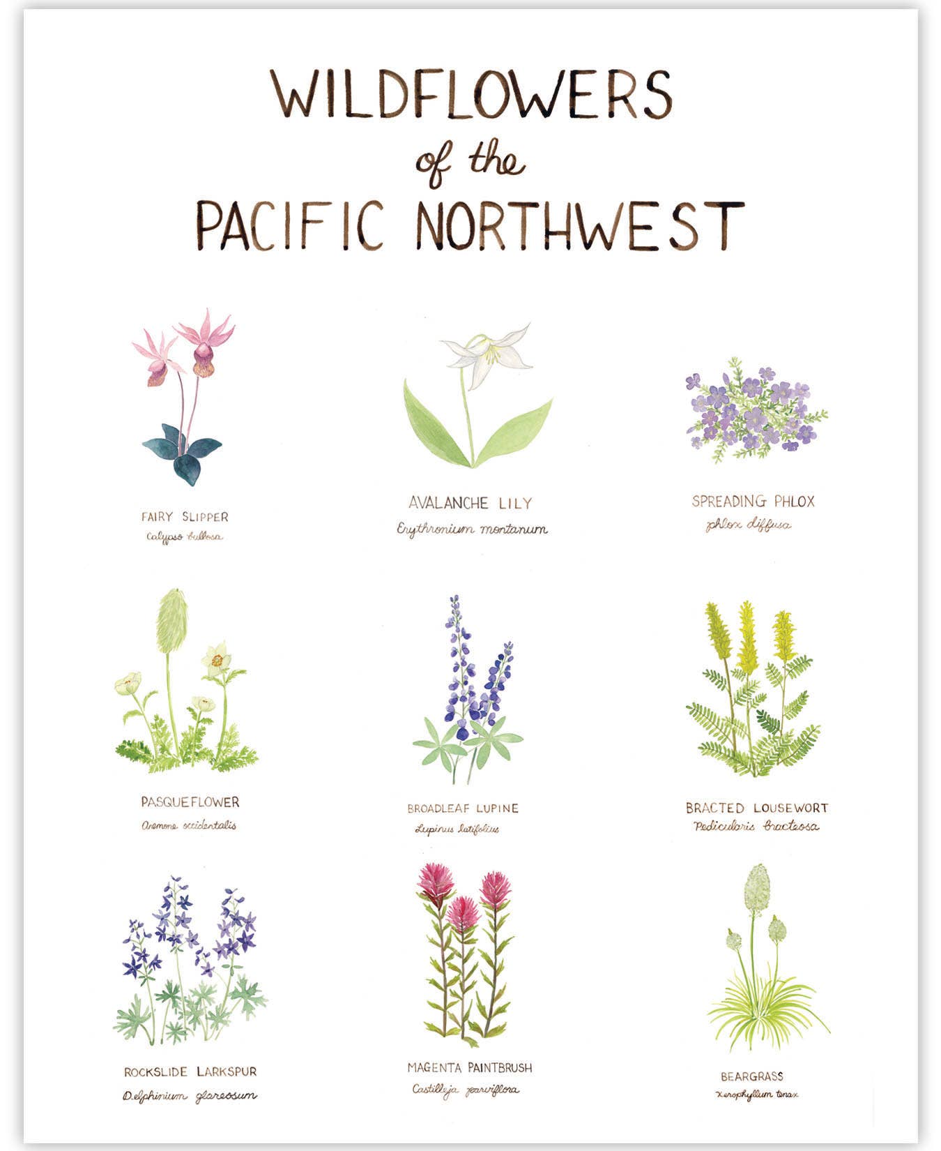 Pacific Northwest Watercolors