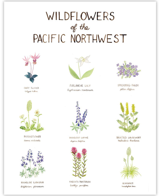Pacific Northwest Watercolors - The Garden Corner