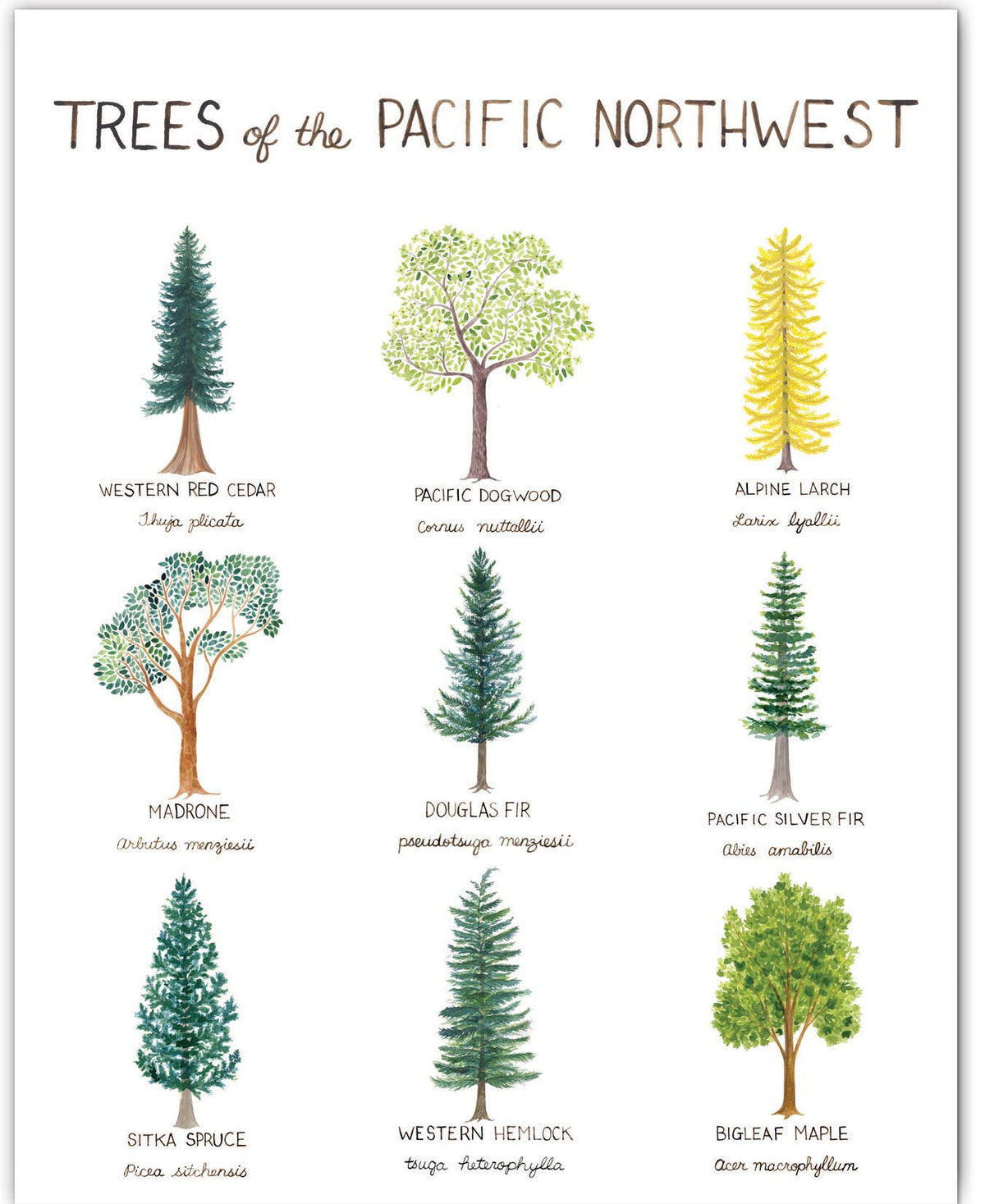 Pacific Northwest Watercolors - Outdoor Living