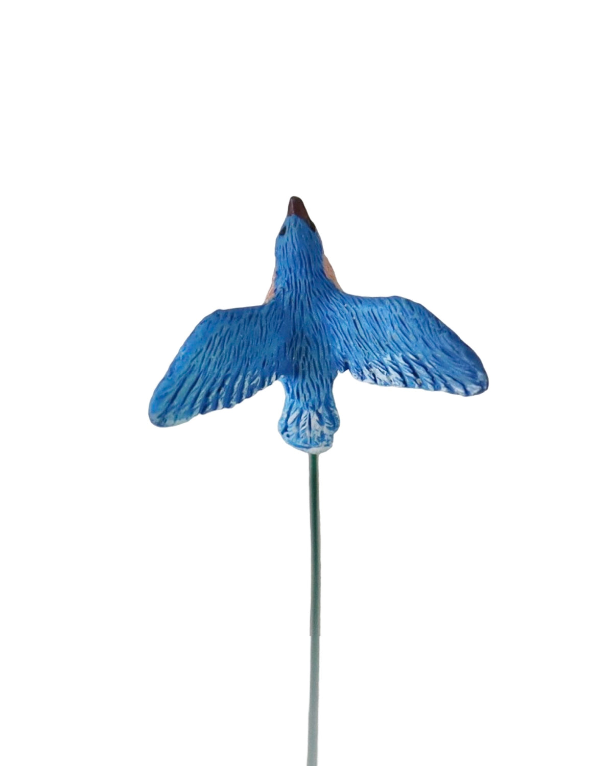 Fairy Bluebird - Outdoor Living