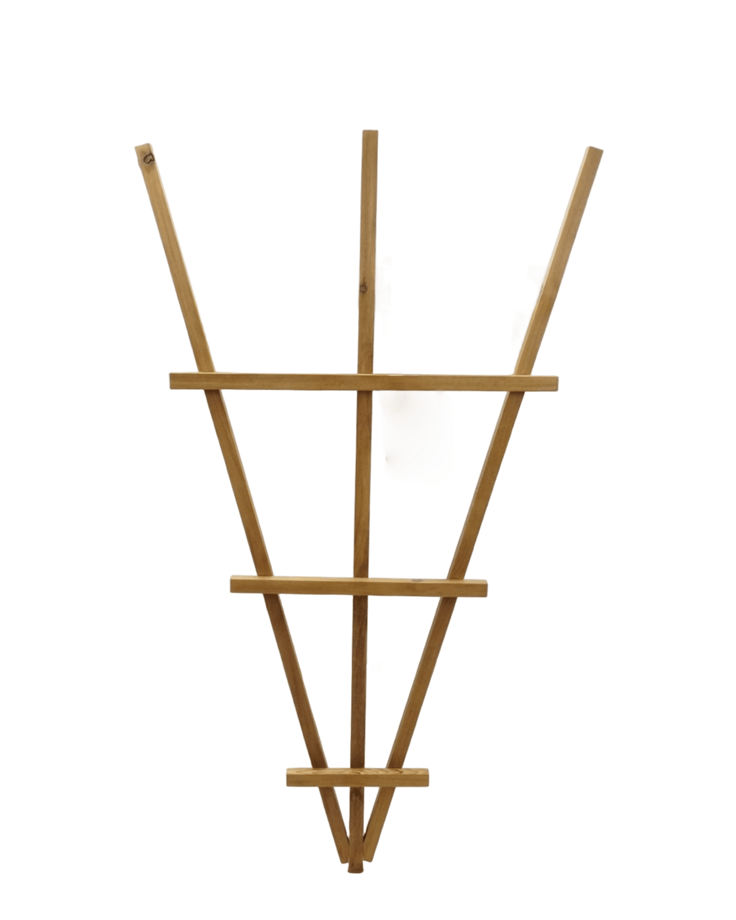 Wooden Fan Trellis 36 - Inch - The Garden Corner