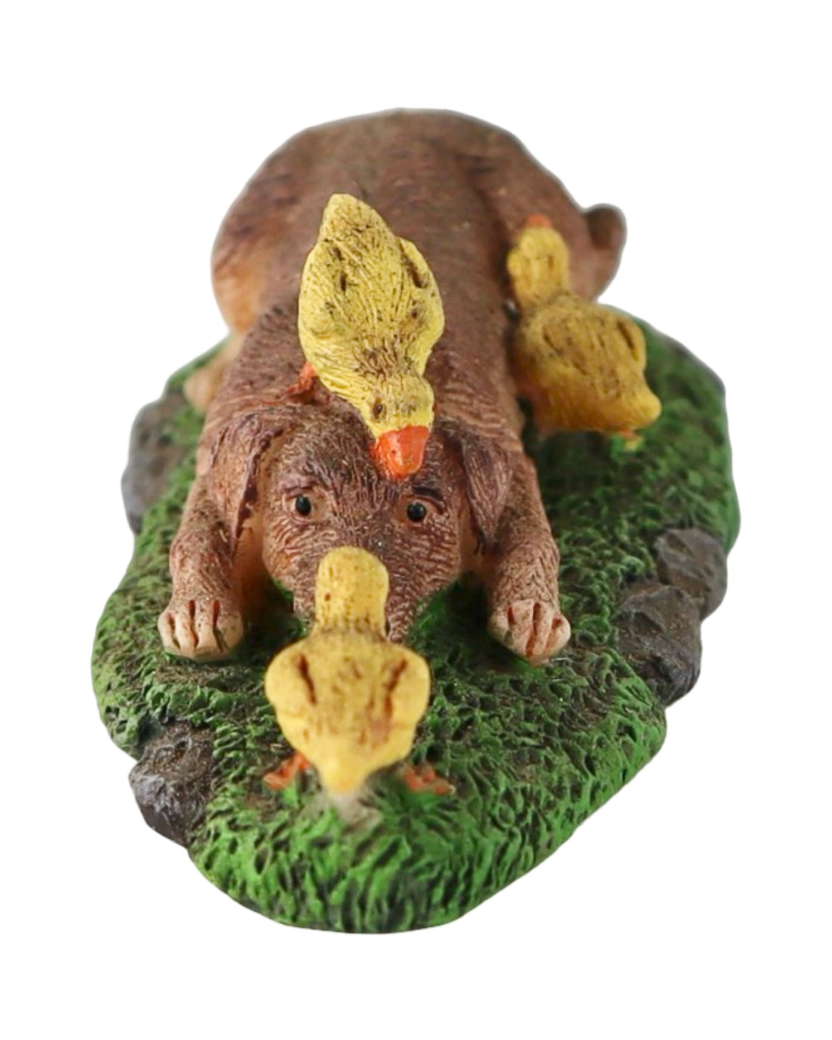 Fairy Ducks and Dogs - Outdoor Living