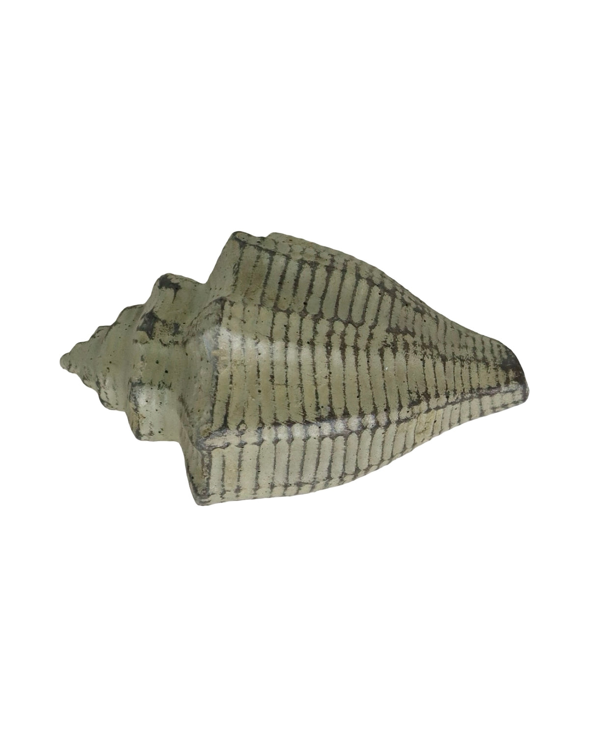 Concrete Conch Shell - Outdoor Living