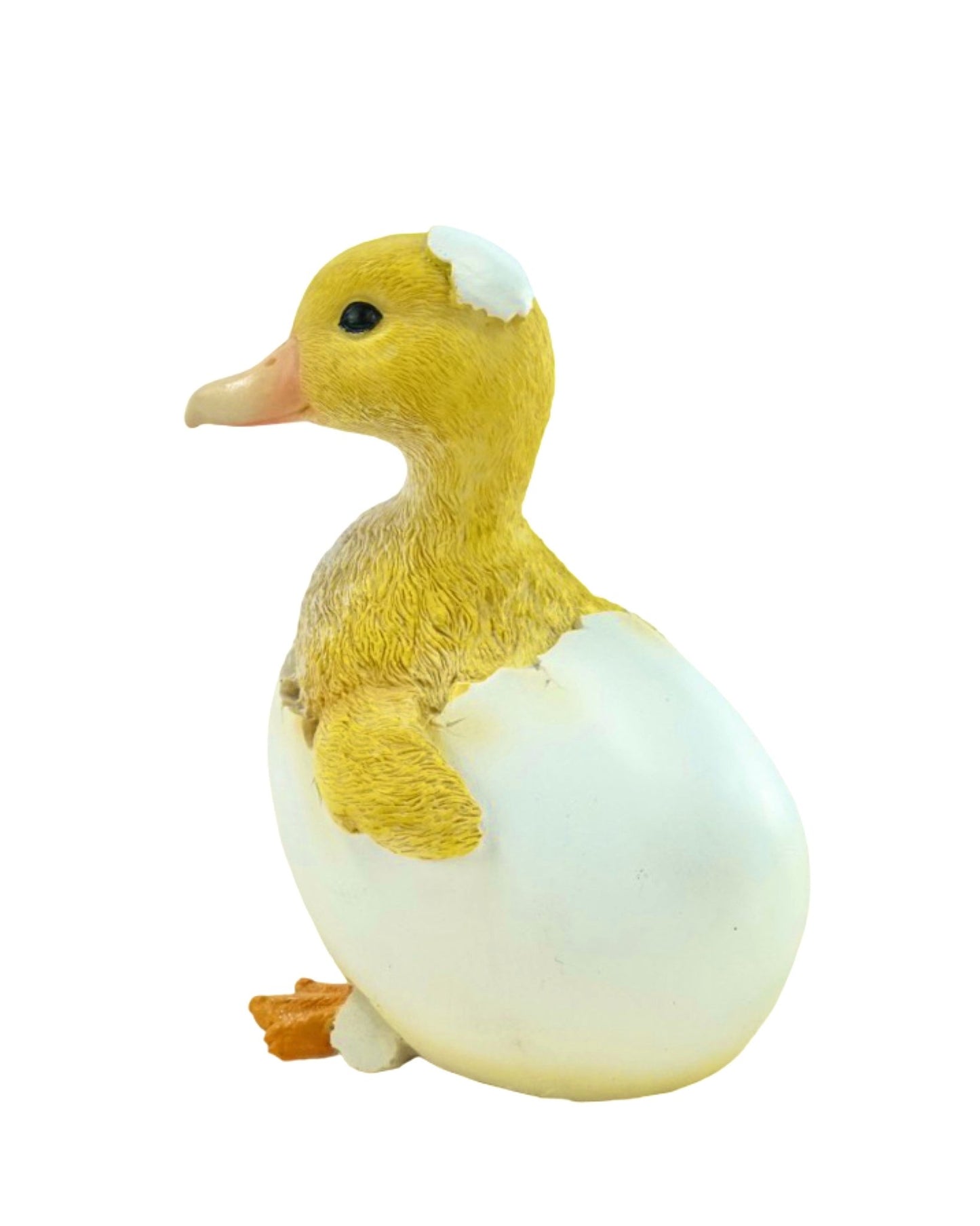 Duckling - The Garden Corner