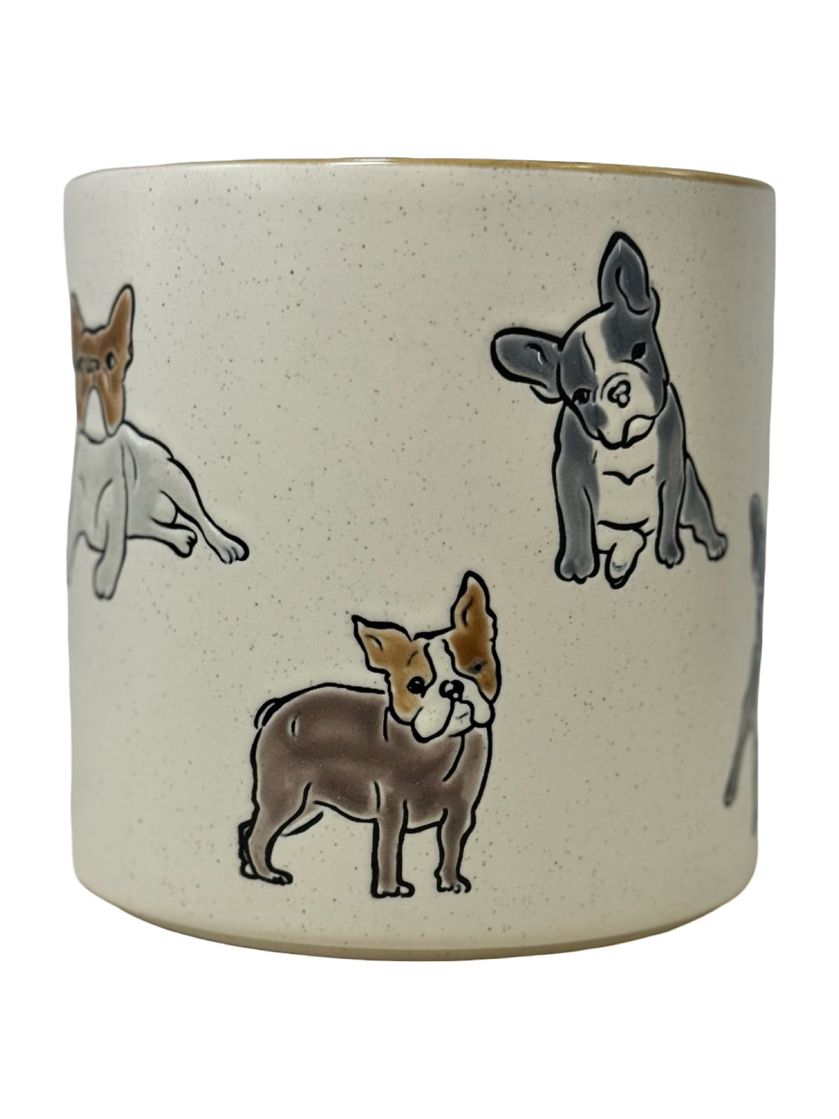 Boston Terrier Planter - Pottery