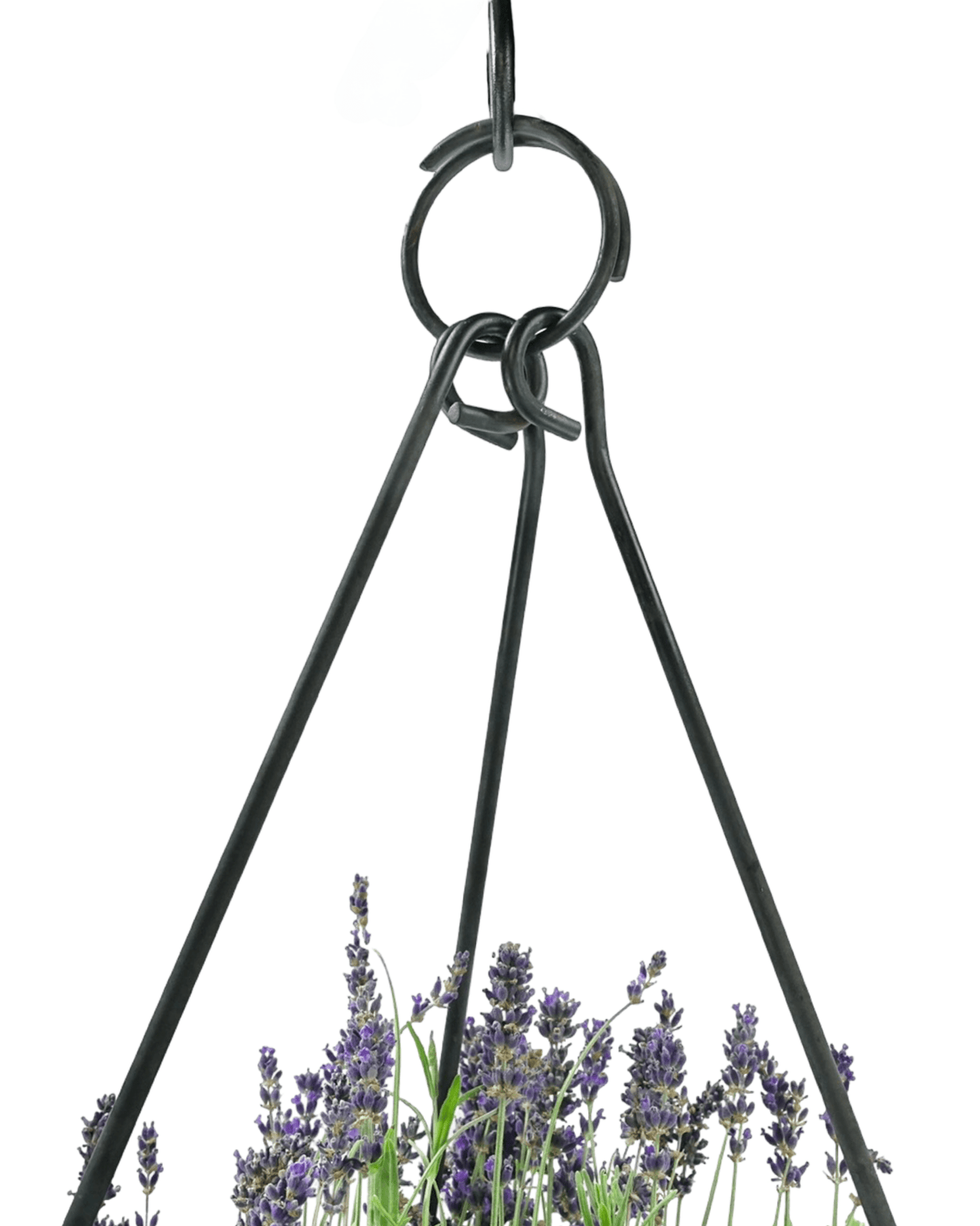 Summerween Designer Basket - The Garden Corner