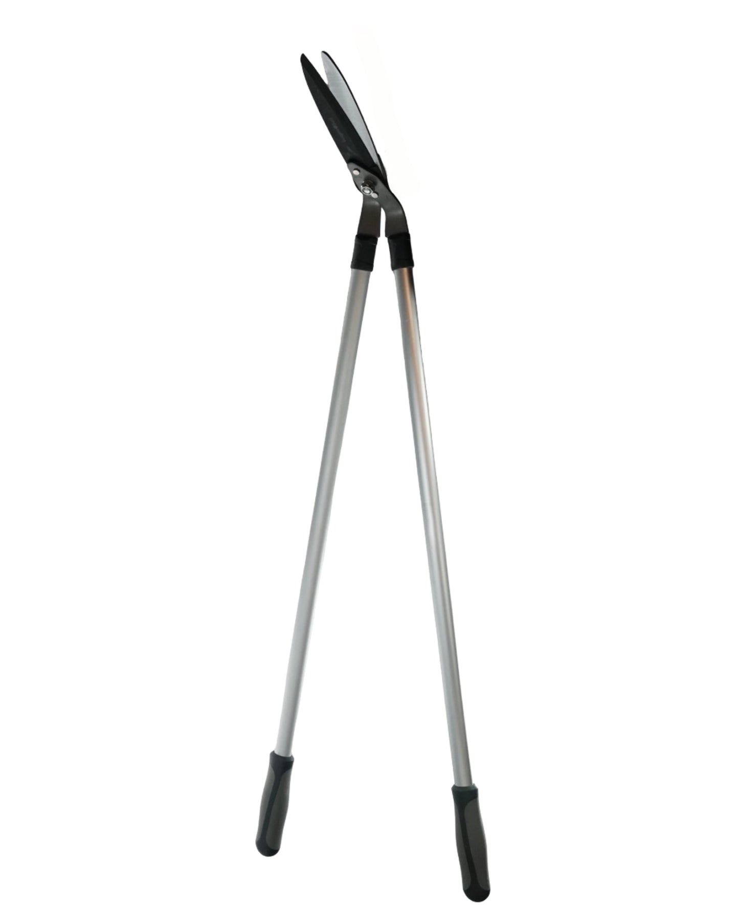 RHS Lawn Shears
