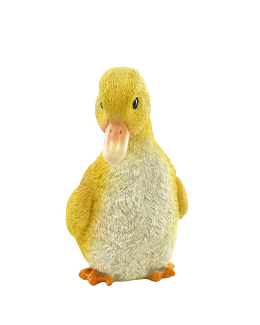 Duckling - The Garden Corner