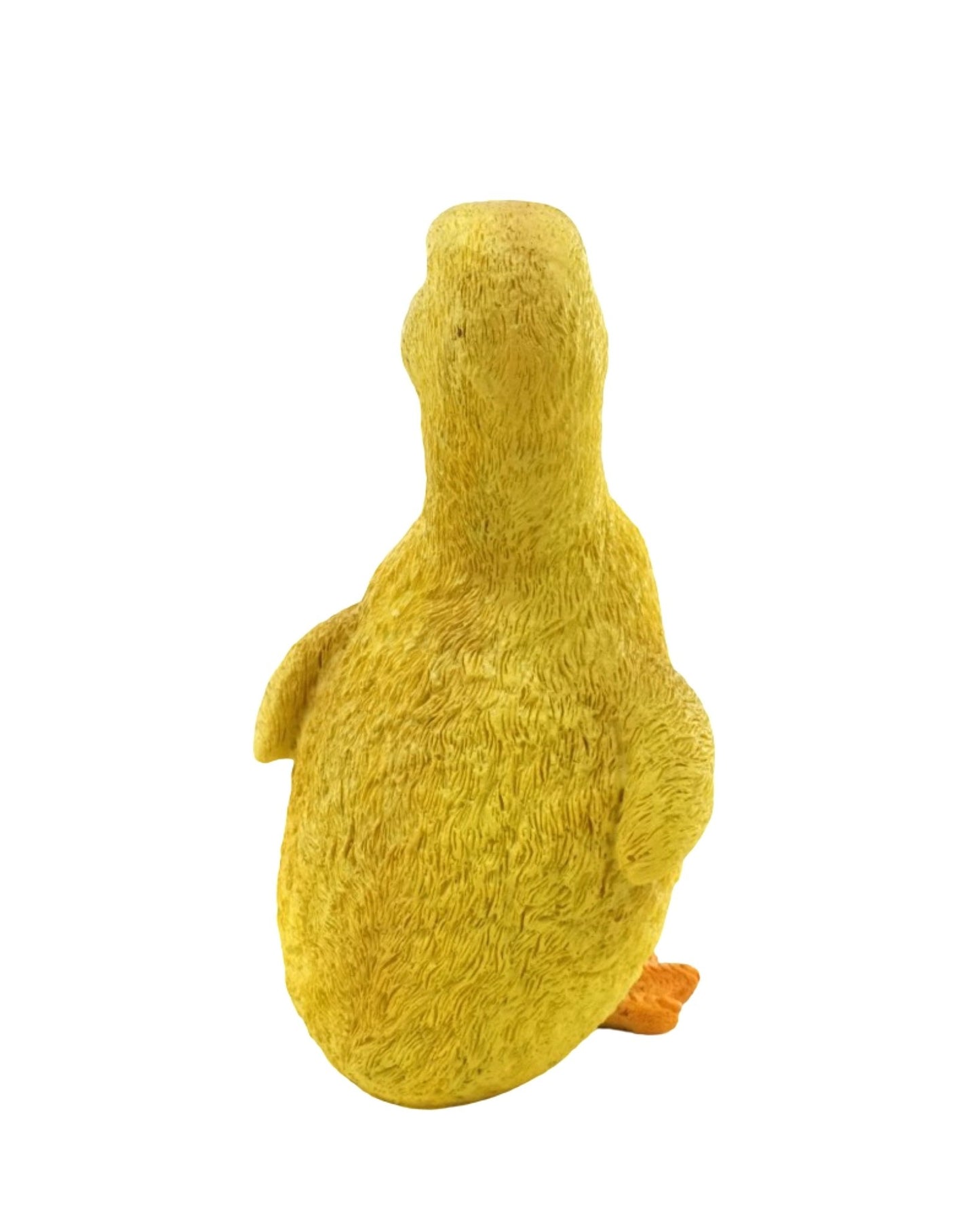 Duckling - The Garden Corner