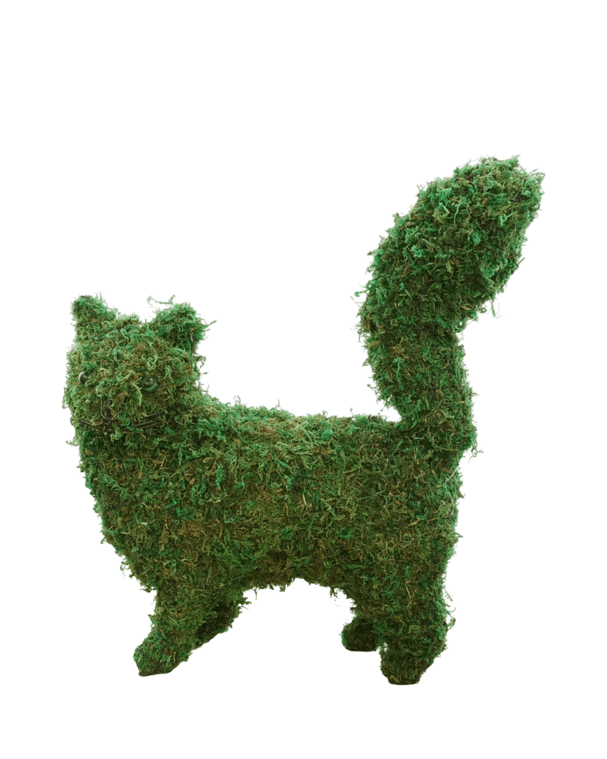 Mossed Cat - Outdoor Living