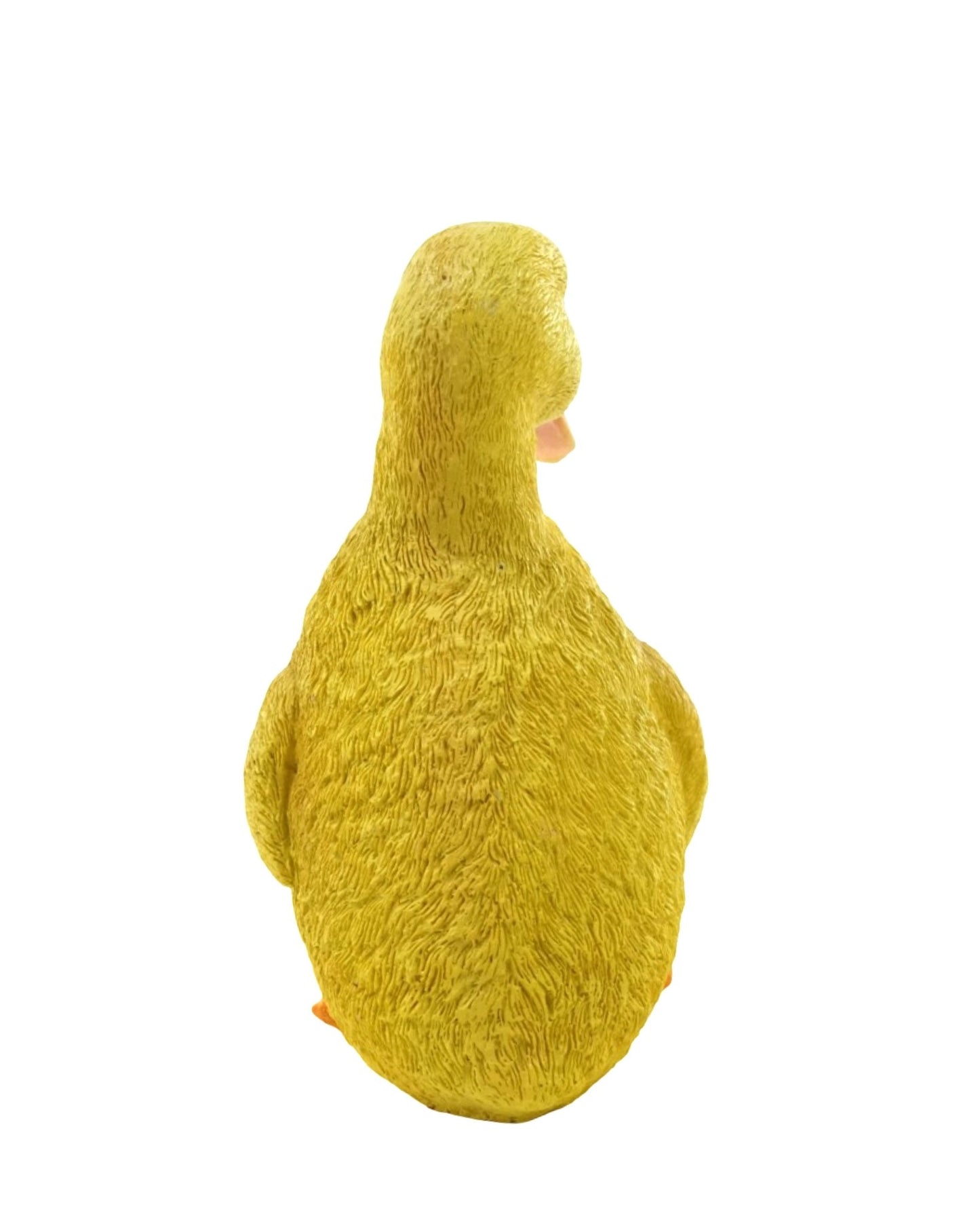 Duckling - The Garden Corner