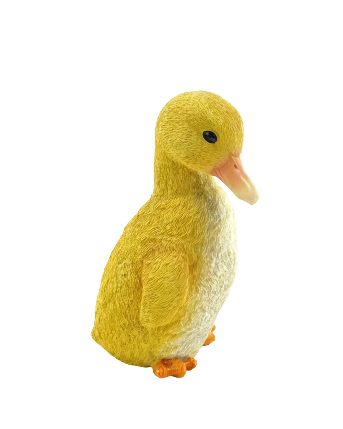 Duckling - The Garden Corner