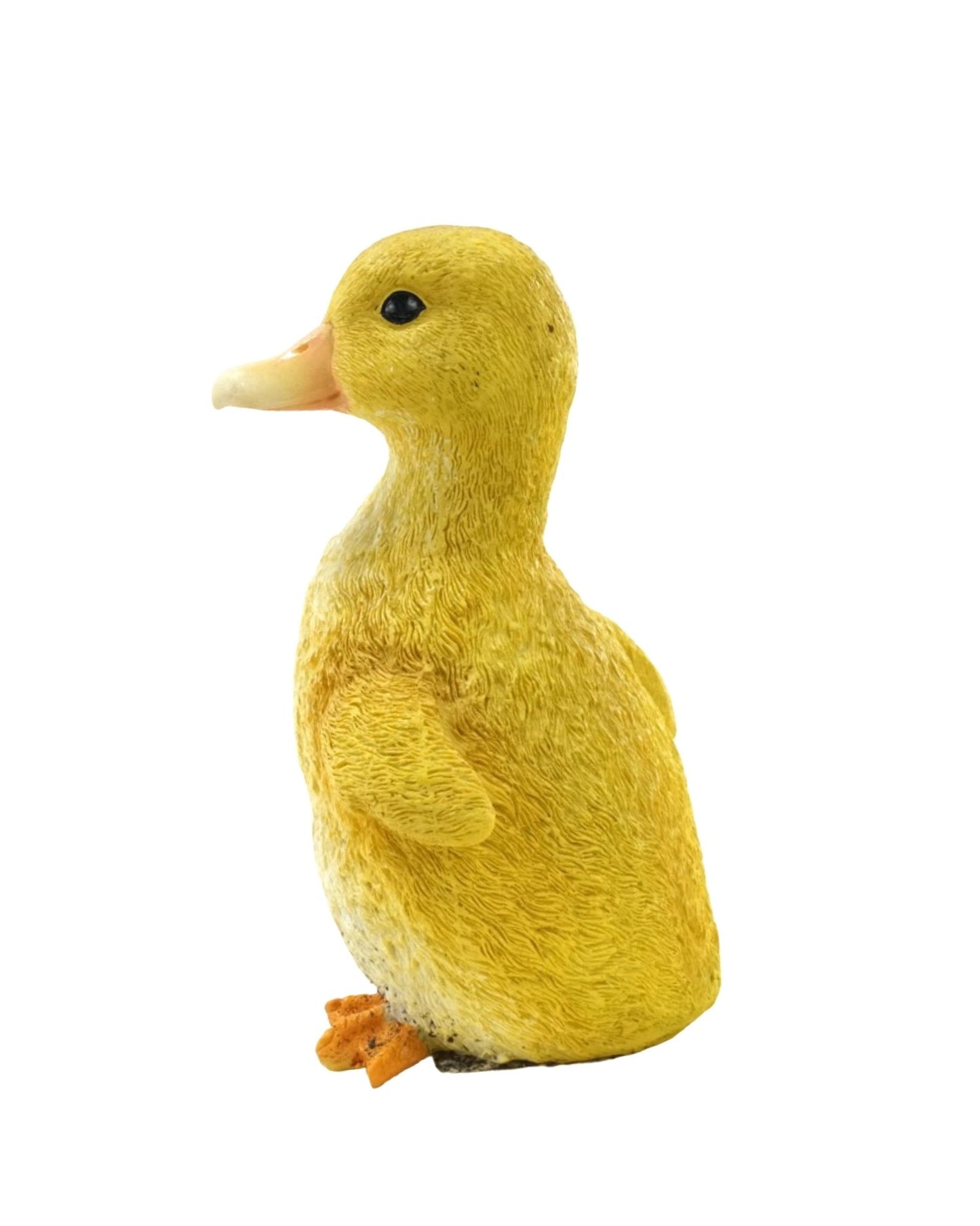 Duckling - The Garden Corner