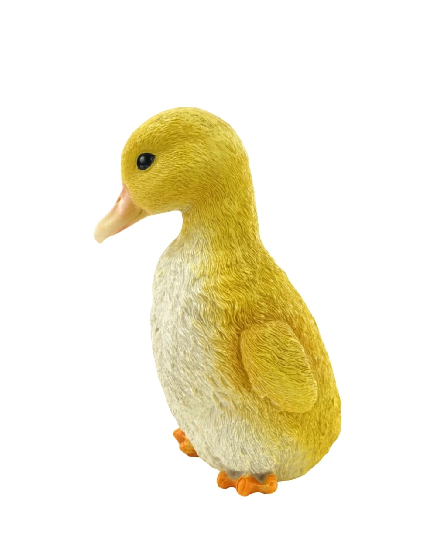 Duckling - The Garden Corner