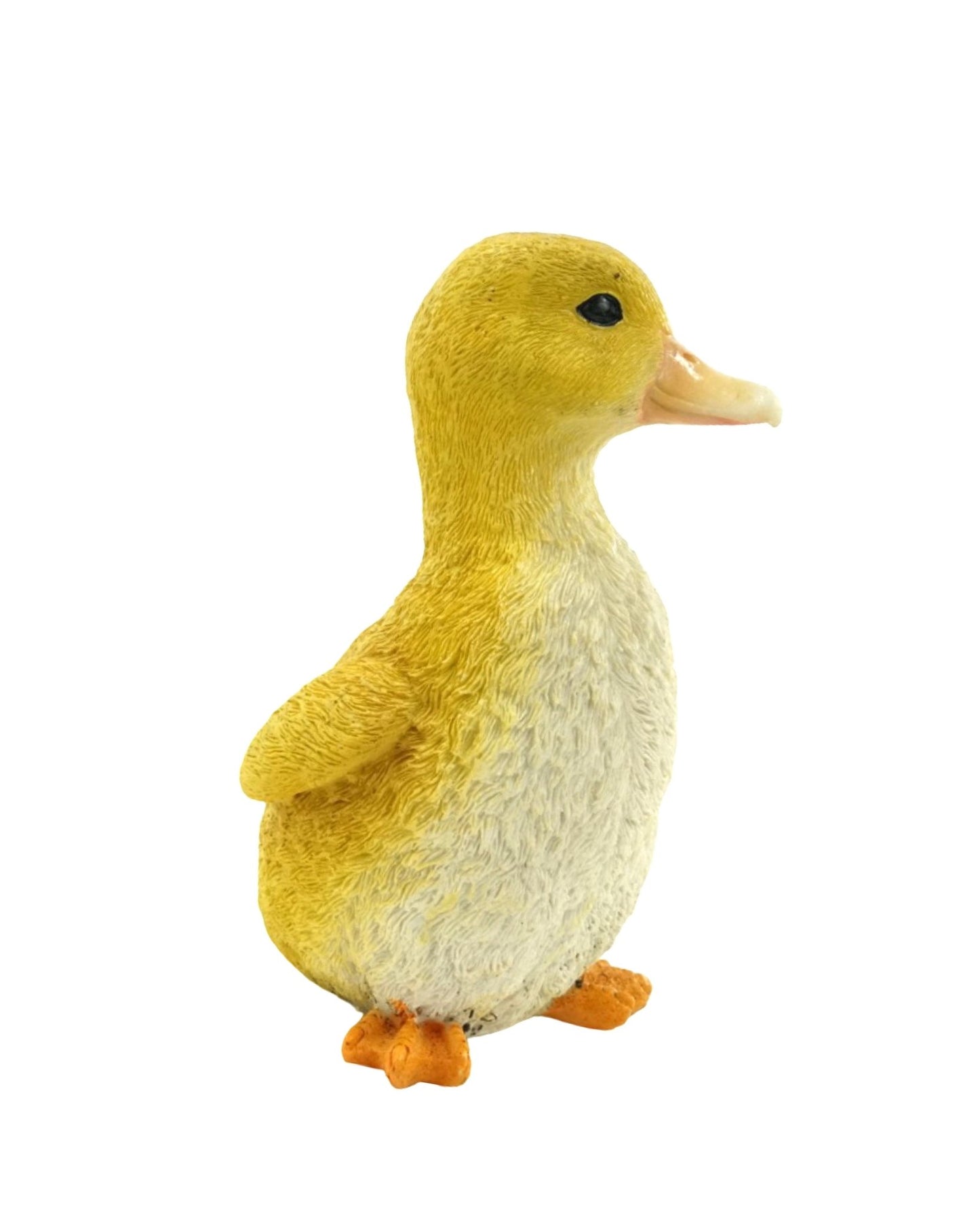Duckling - The Garden Corner