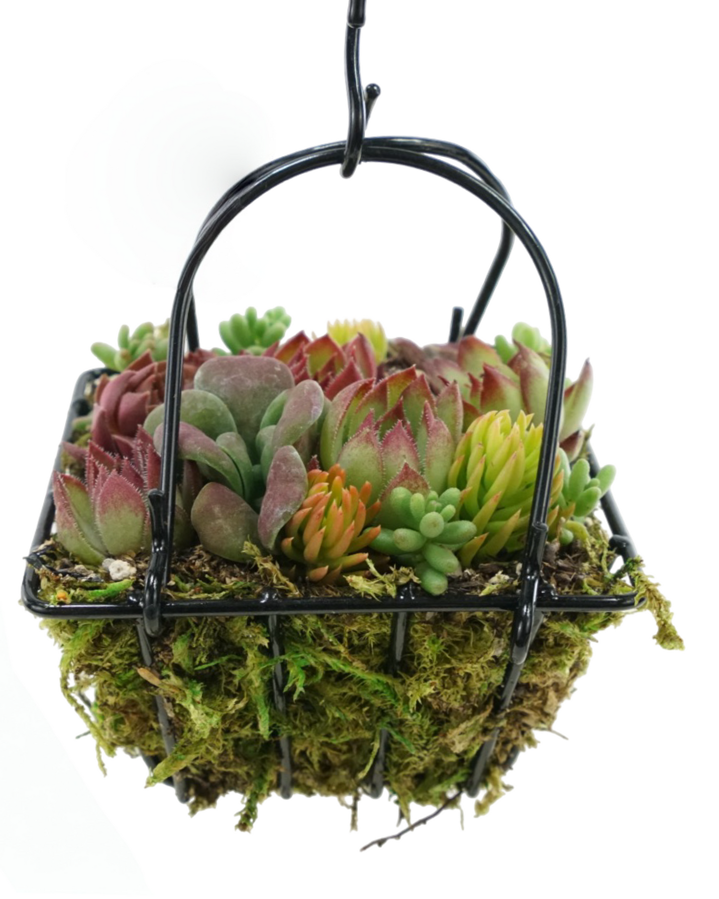 Our Smallest Square Basket