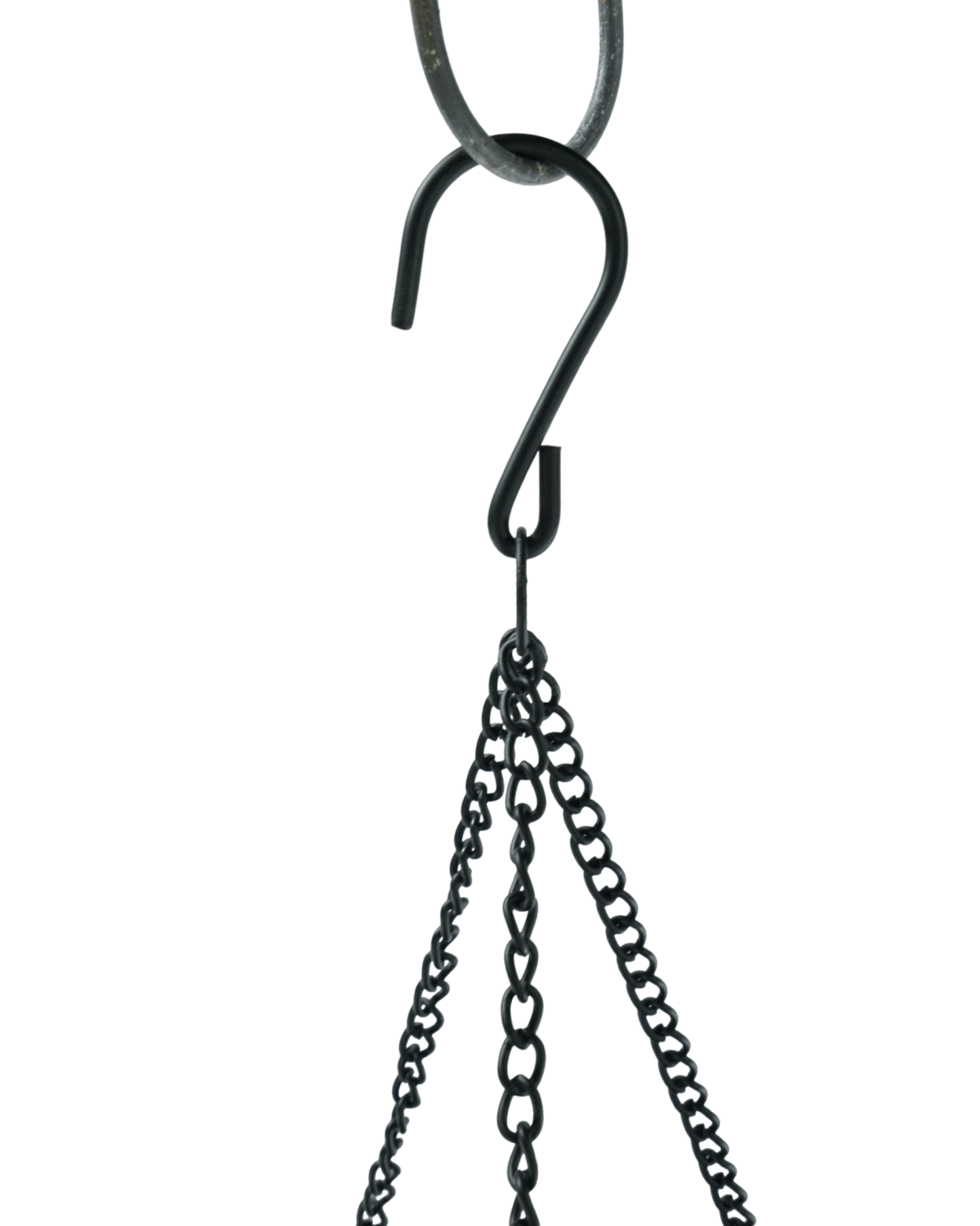 Black Mesh Hanging Basket w/Coco Liner - The Garden Corner