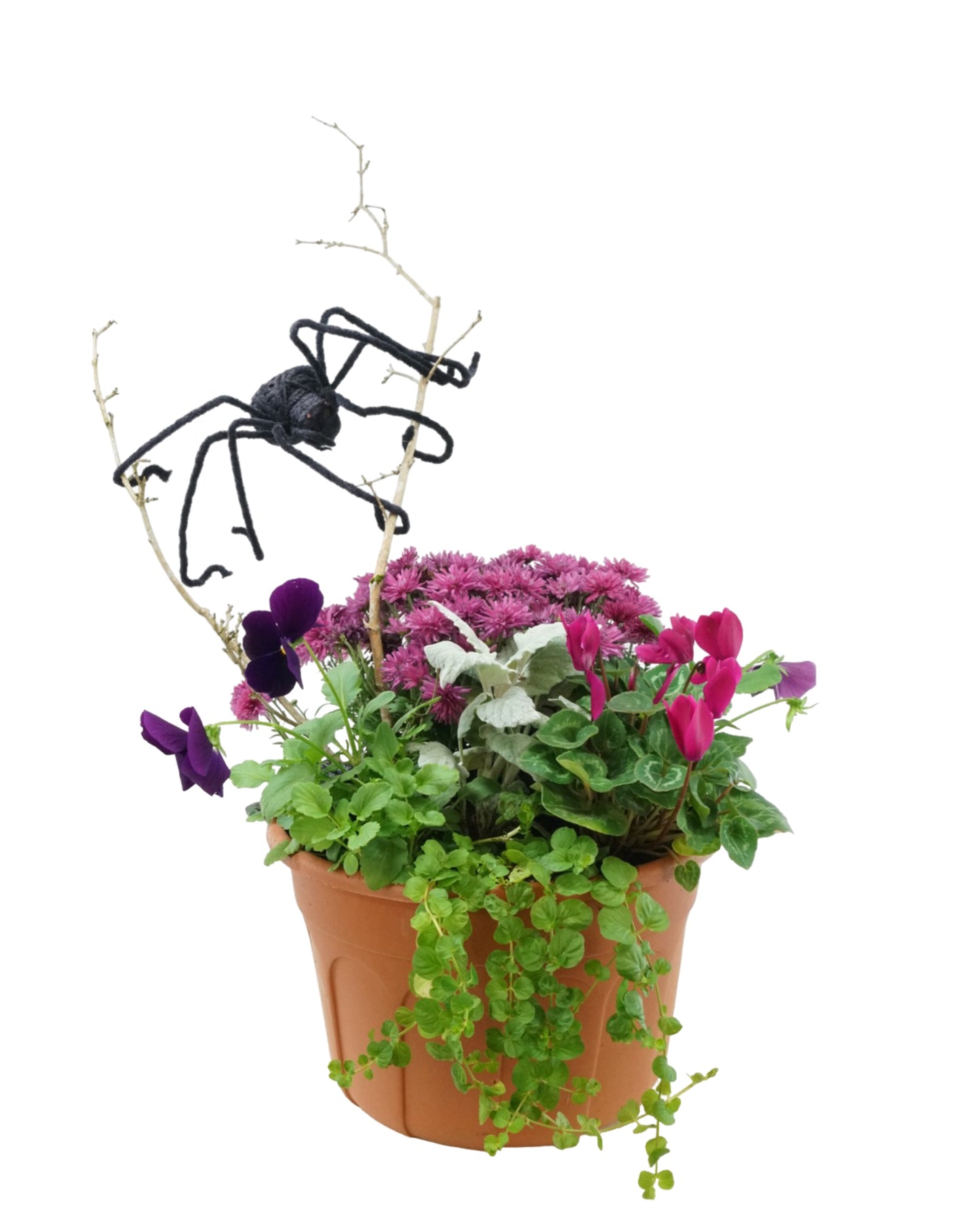 Spooky Porch Planter Workshop- 10/18/25