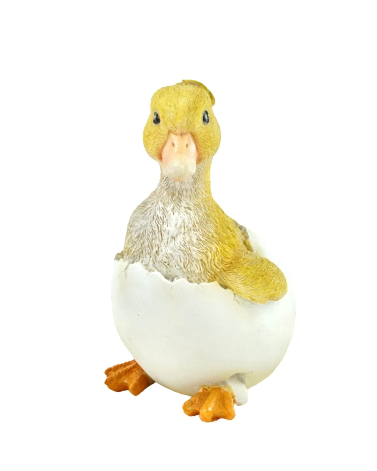 Duckling - The Garden Corner