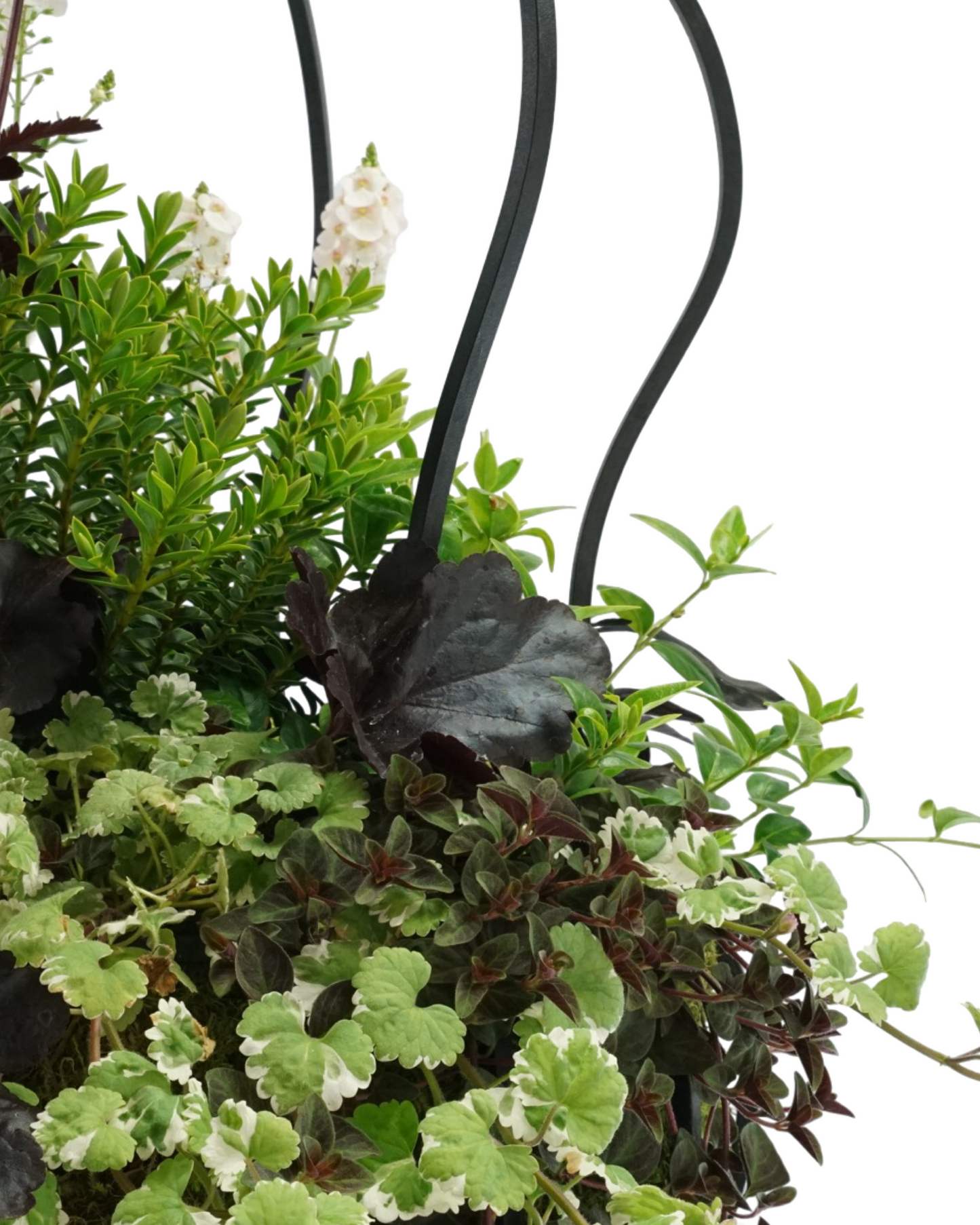 Designer Planter - Planters
