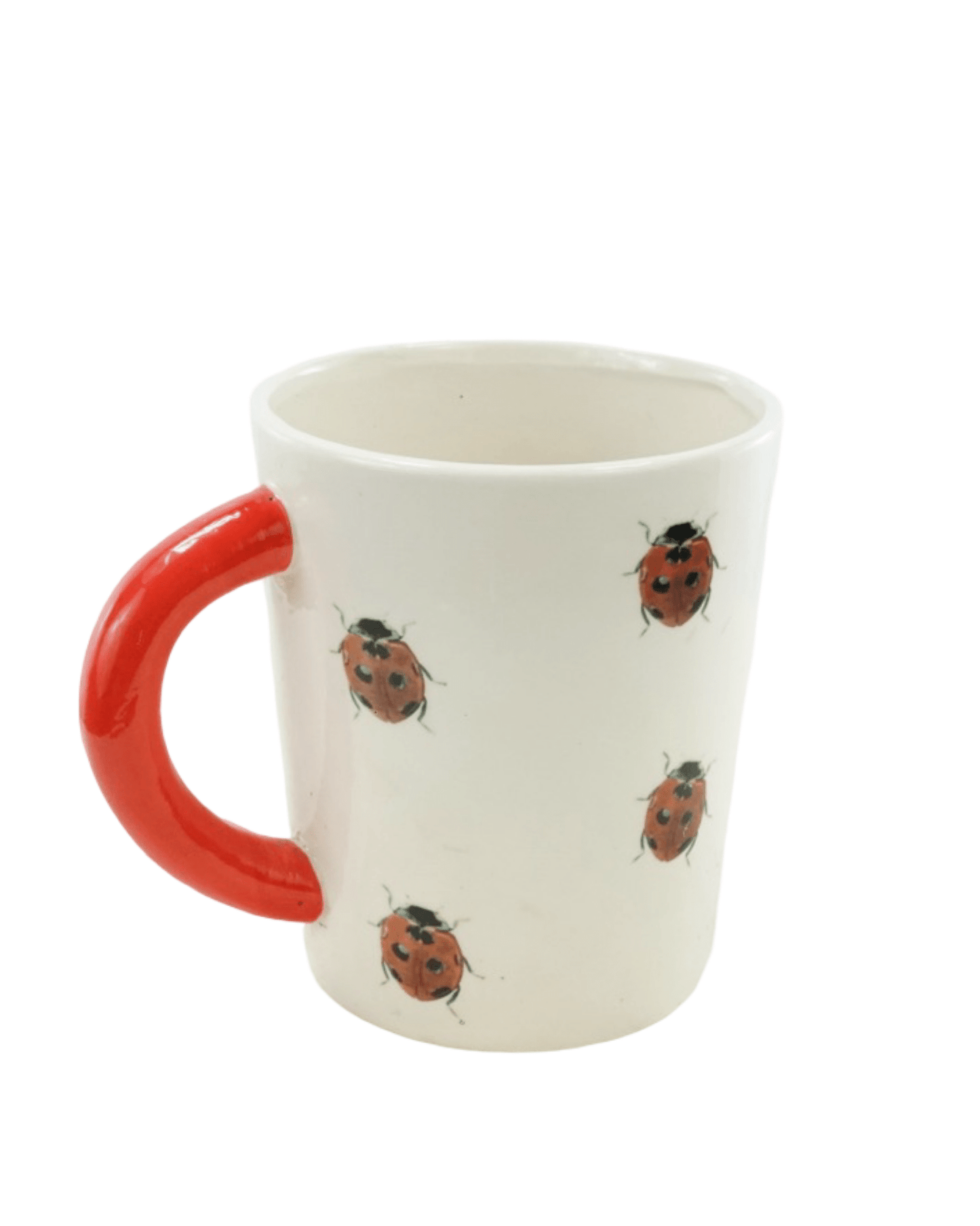 Bug Mug Planter - The Garden Corner