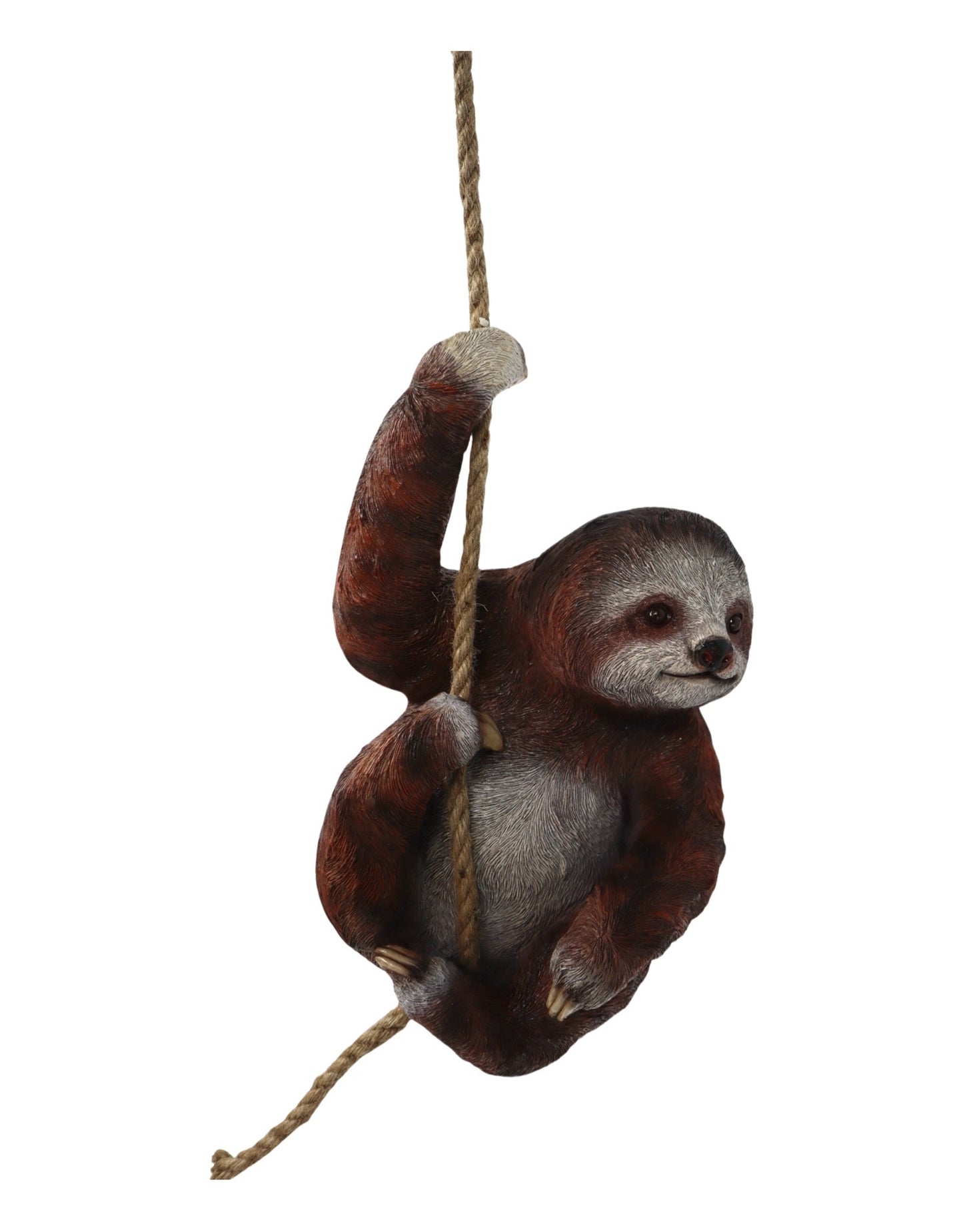 Hanging Sloth - The Garden Corner