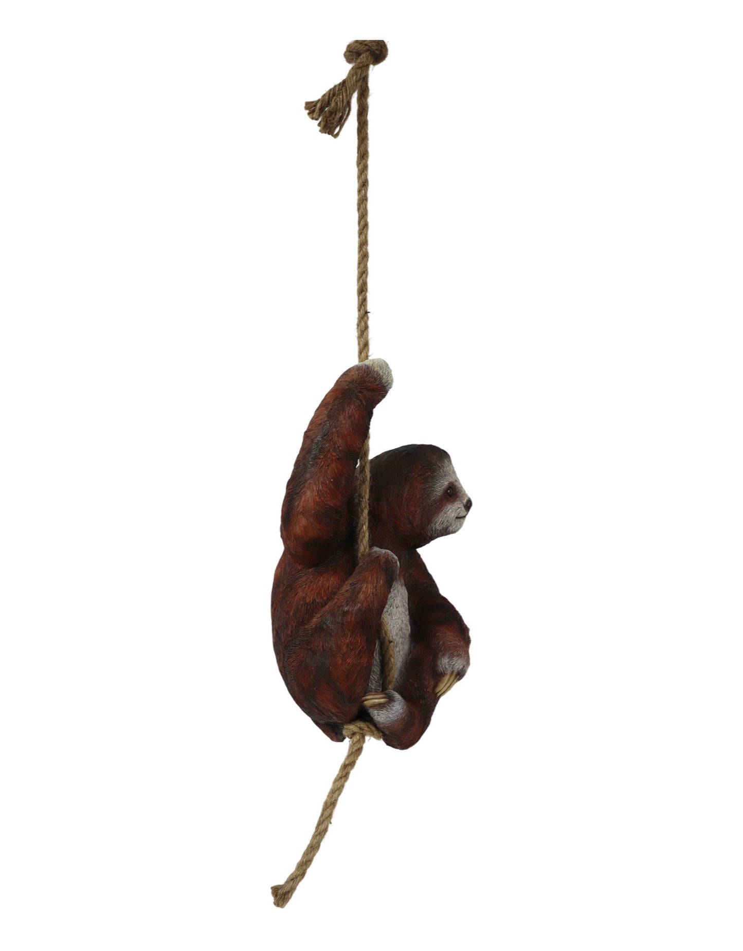 Hanging Sloth - The Garden Corner