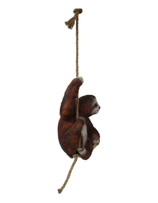 Hanging Sloth - The Garden Corner