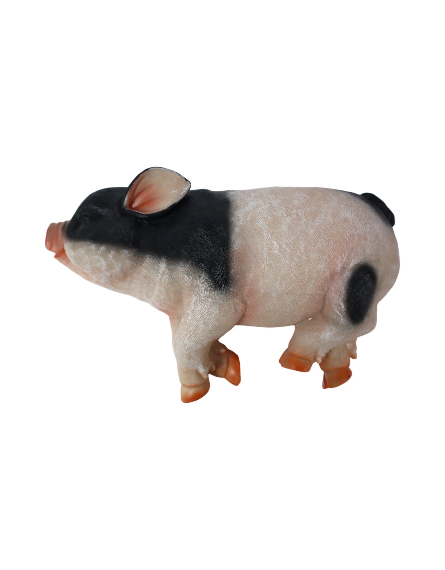 Sleeping Pig - The Garden Corner