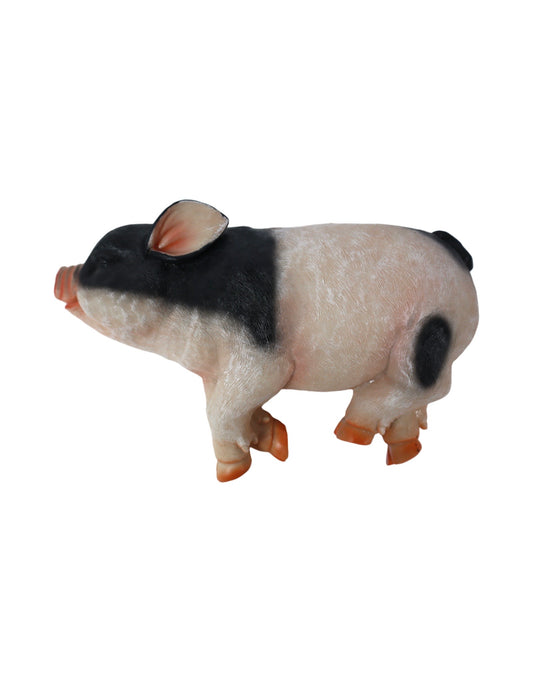 Sleeping Pig - The Garden Corner