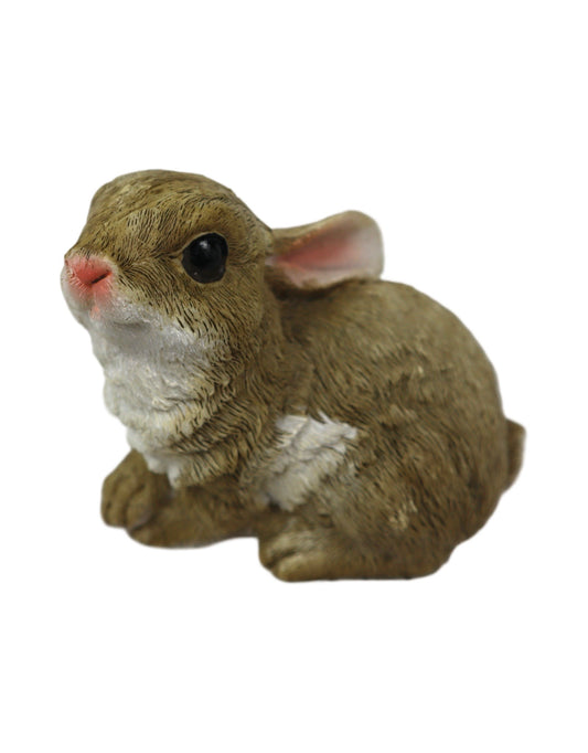 Baby Bunny - The Garden Corner
