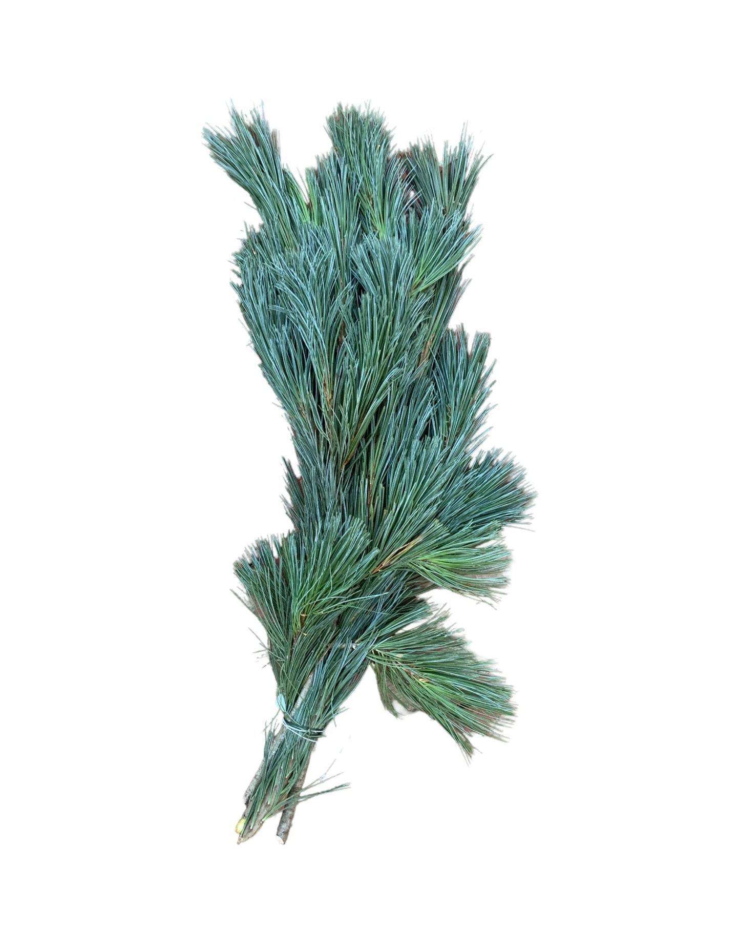 Premium Greenery Bundles - The Garden Corner