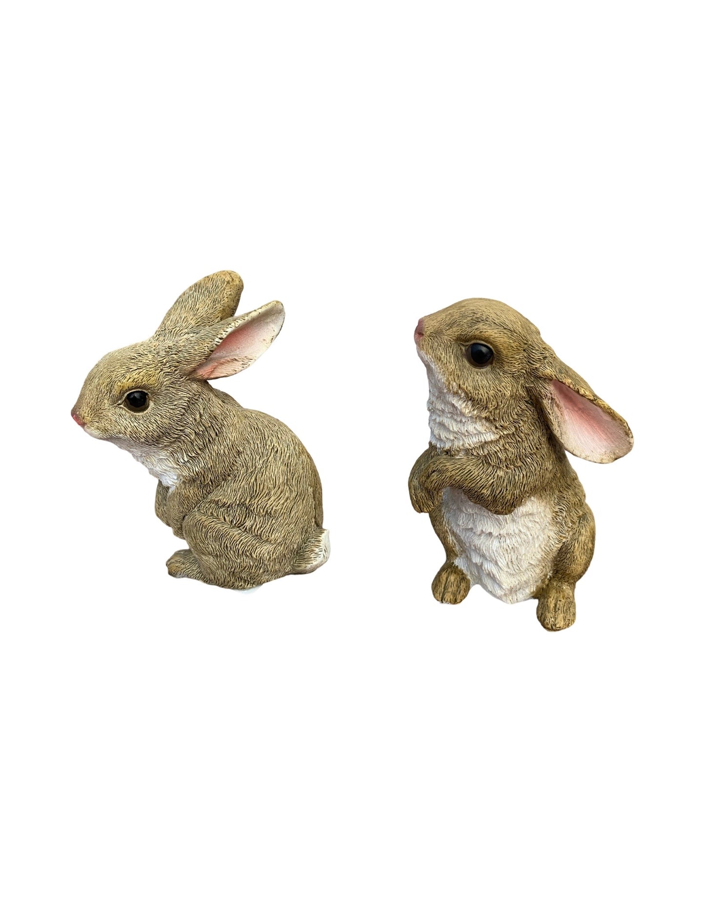 Baby Bunny - The Garden Corner