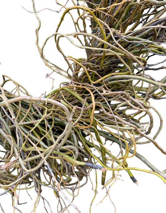 Curly Willow Wreath - The Garden Corner