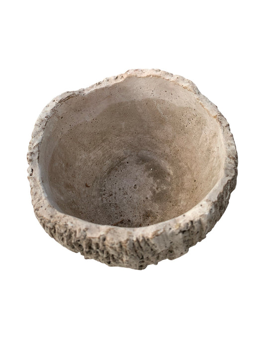 Pot Log Live Edge - The Garden Corner