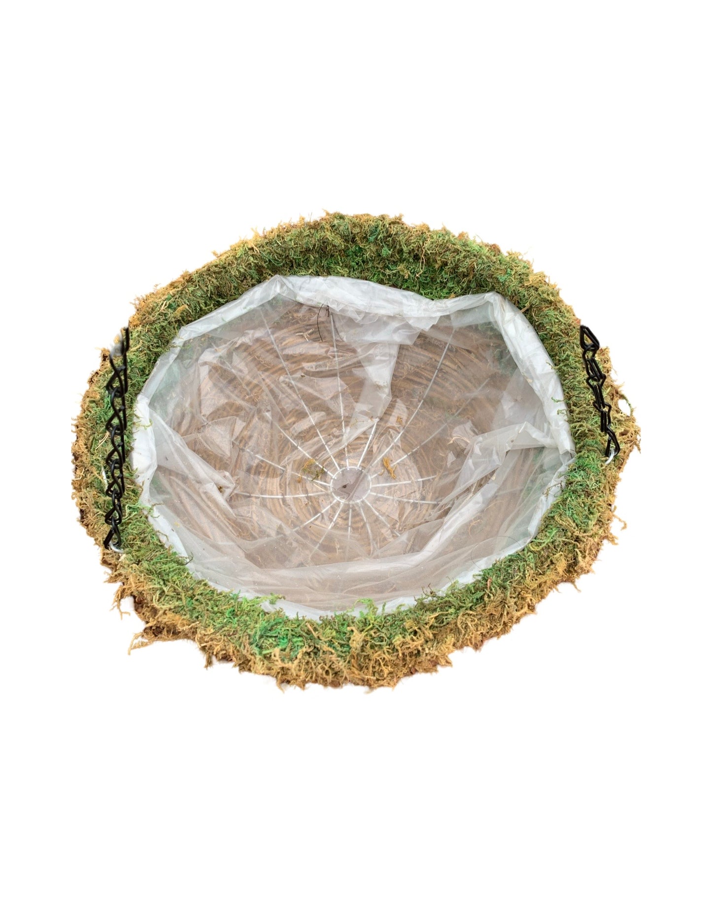 Bella Round Woven Basket Moss Rim - The Garden Corner
