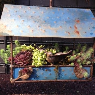 GC Exclusive 25 - The Garden Corner