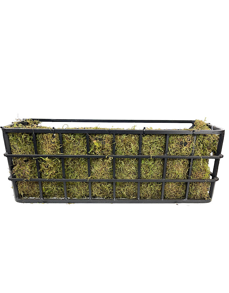 Passion Window Box Kit
