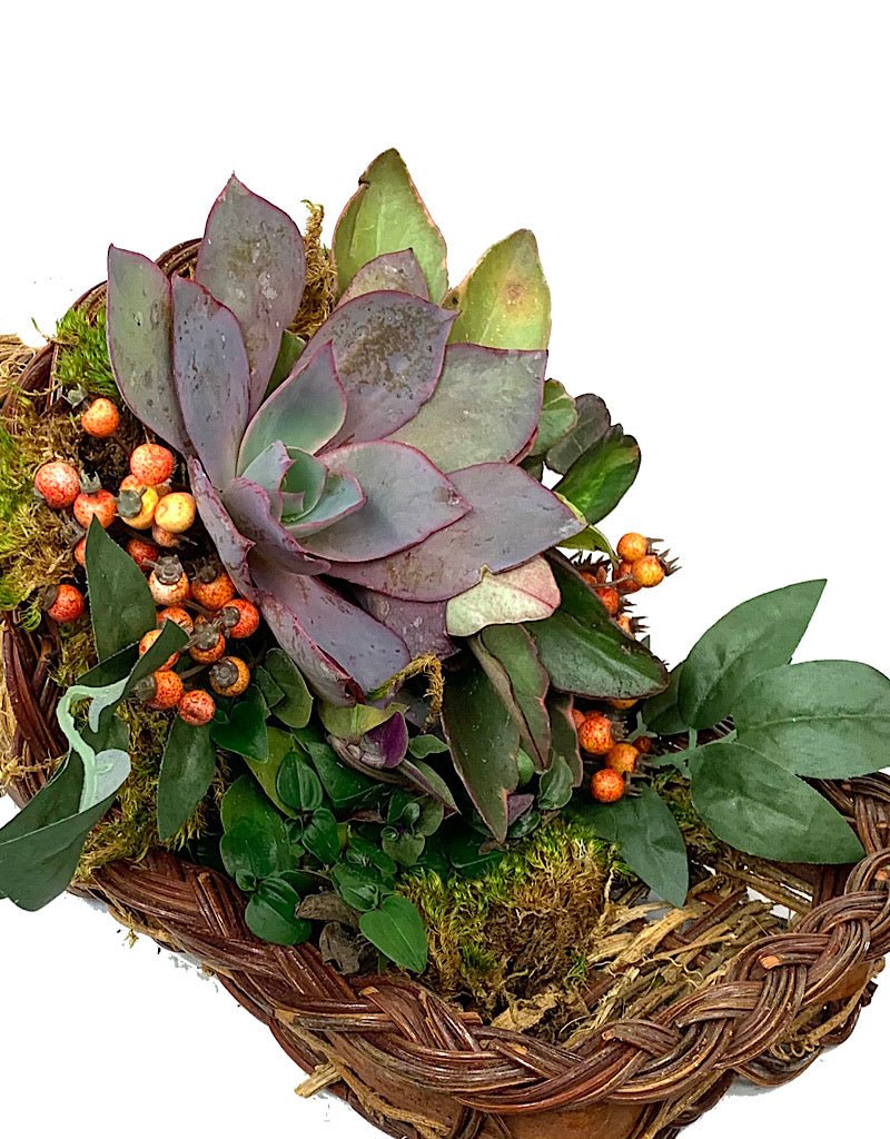 GC Exclusive 15 - The Garden Corner