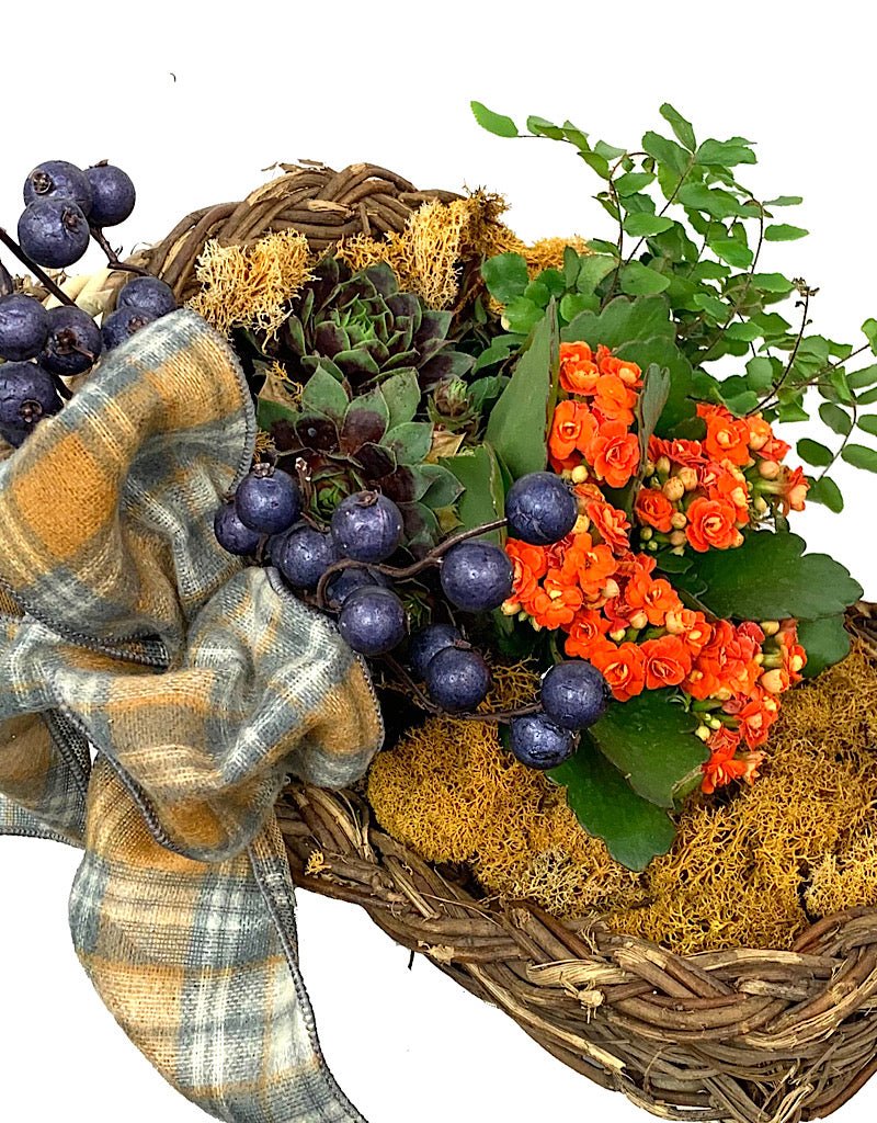 GC Exclusive 17 - The Garden Corner