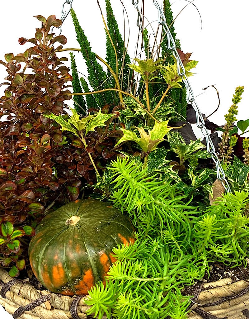 Hanging Garden 47 - The Garden Corner