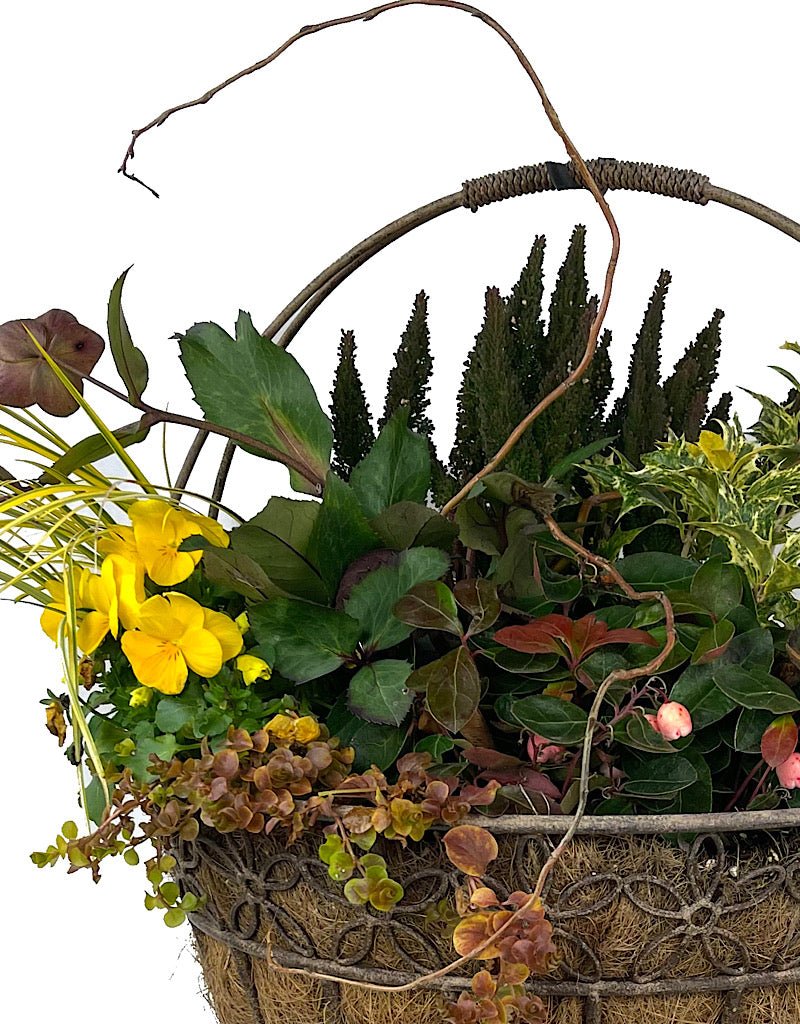 Hanging Garden 44 - The Garden Corner