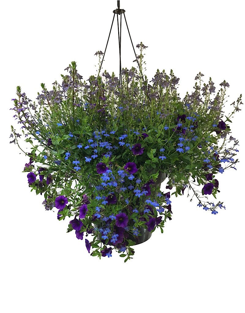 Rebel Basket Pre - Order - The Garden Corner