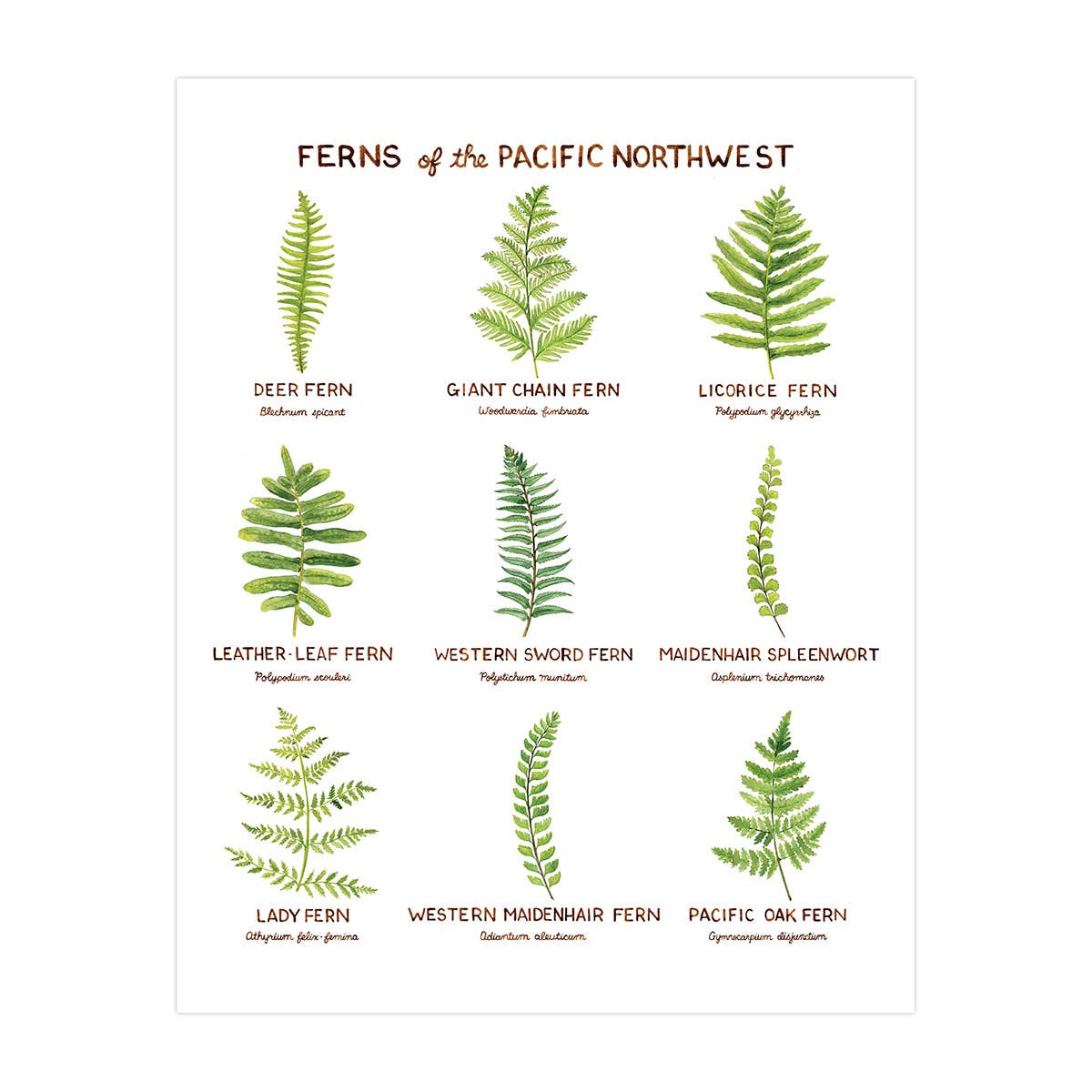 Pacific Northwest Watercolors - Outdoor Living